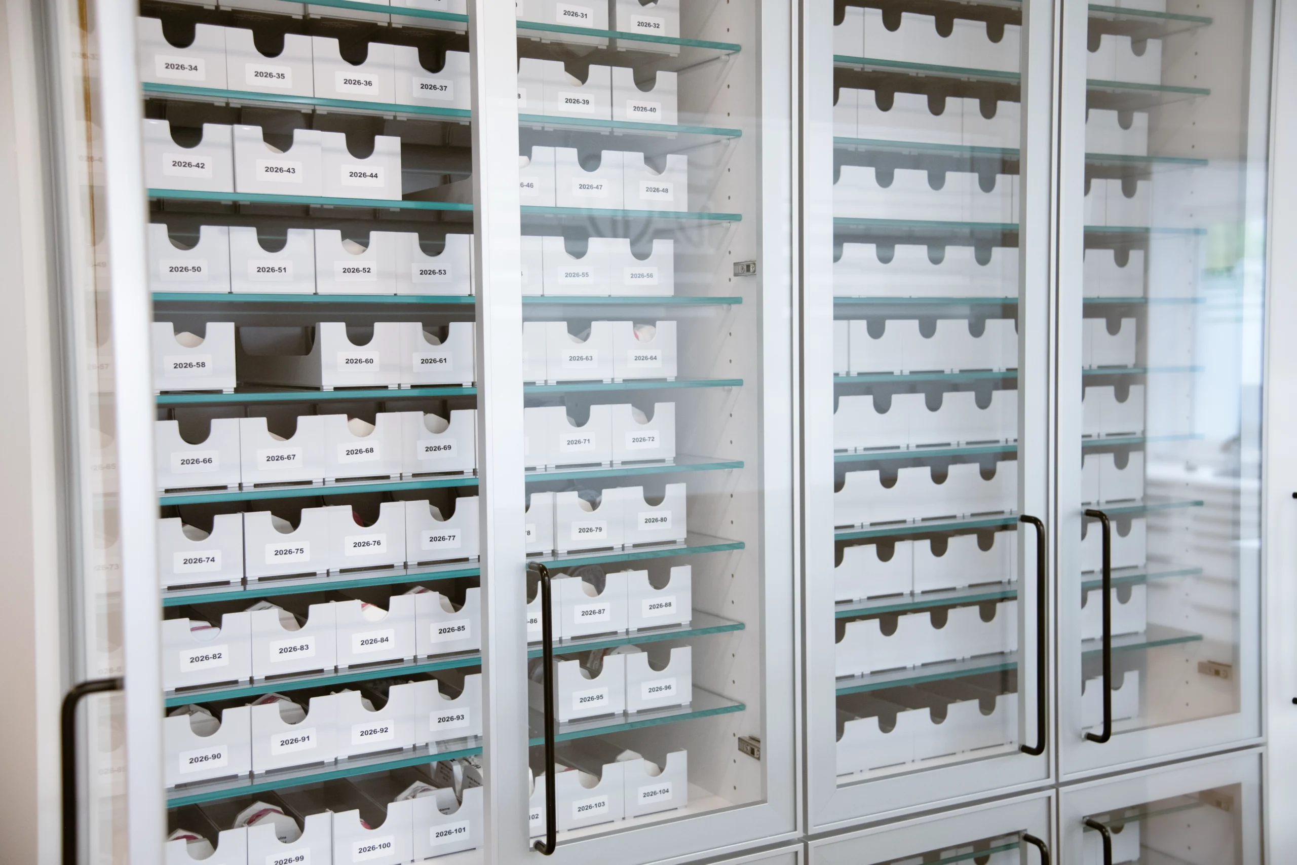 Glasvitrine mit zahlreichen beschrifteten Zahnmodellen in der kieferorthopädischen Praxis.